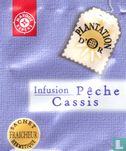 Pêche Cassis