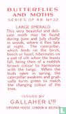 Large Emerald - Bild 2