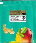 Sensations Moringa, Zenzero e Mango