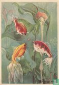 1953-01-1 Drie Vissen - Image 1