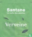 Verveine - Bild 1