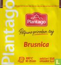 Brusnica - Image 1