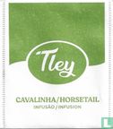 Cavalinha / Horsetail