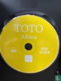 Africa - Bild 3
