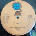 Shake What You Got - Image 3