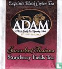 Strawberry Fields Tea  - Image 1