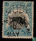 Javanese Warthog