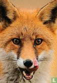natural sciences - Wild? Sauvage?