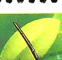 les insectes