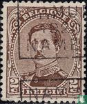 Le roi Albert I