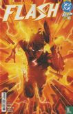 Absolute Flash 1  - Image 1