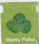 Menta-Poleo Mint