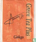 Ginkgo - Image 1