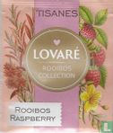 Rooibos Collection