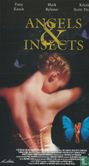 Angels & Insects - Bild 1