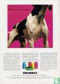 Onze hond 4 - Image 2