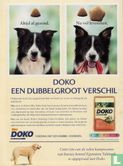 Onze hond 1 - Bild 2