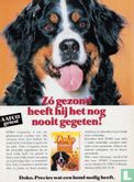 Onze hond 6