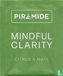 Mindful Clarity