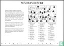 Sonoran Desert - Image 2