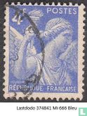 Iris