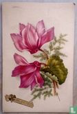 Cyclamen & sparagus.