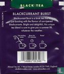 Blackcurrant Burst