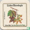 Der Bergahorn 2