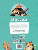 Katten 2