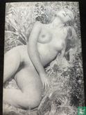 Signora 11