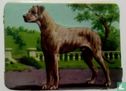 het Deensch Dog