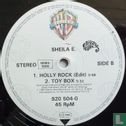 Holly Rock