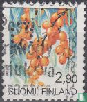 Plante - Image 1
