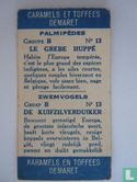 De kuifzilverduiker