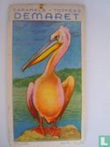 De pelikaan
