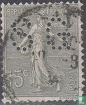Seedling - Image 1
