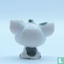 Pua