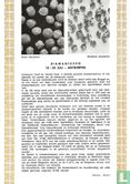 Diamant-Expo