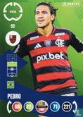 Pedro - Afbeelding 1