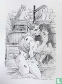 Portfolio Antropomorfe