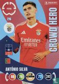 António Silva - Image 1