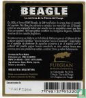 Beagle - Afbeelding 2