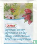 Dýchací cesty