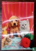 Dog and cat.