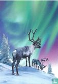 Arctic Circle