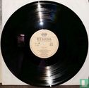 Die Fledermaus - Image 8