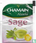 Sage - Image 2