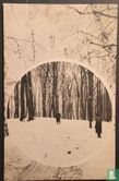 Winter in het Haagsche Bosch