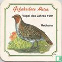 18 Rebhuhn