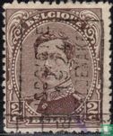 Le roi Albert I